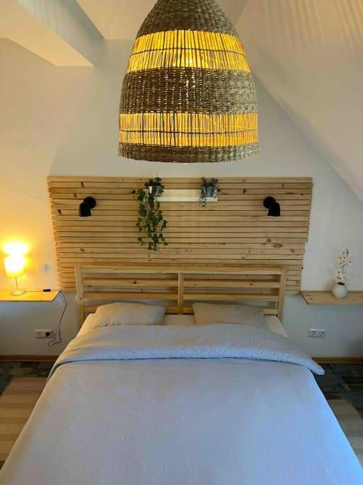 Boho Apartment In Der Stadtmitte Lahr/Schwarzwald Extérieur photo